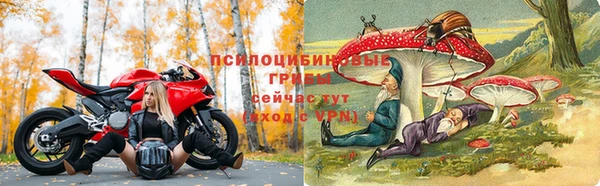 кокс Аркадак