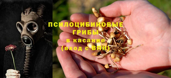 МДПВ Арсеньев
