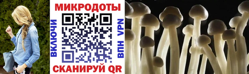 darknet клад  Арсеньев  Псилоцибиновые грибы прущие грибы 