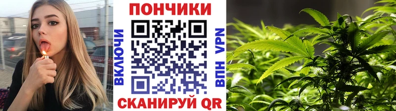 Канабис сатива Арсеньев